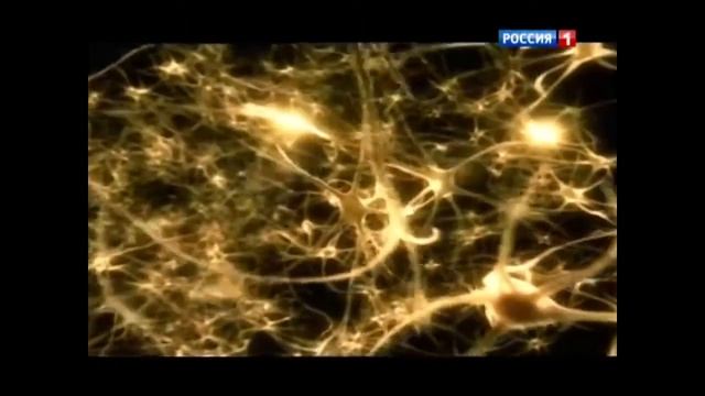 С В Савельев влияние соли на человека смотреть онлайн
