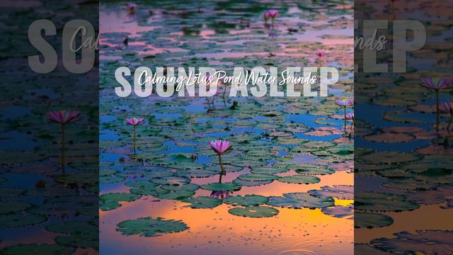 Calming Lotus Pond Water Sounds, Pt. 9 смотреть онлайн