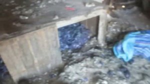 Гуси сказали: -"Весна пришла"!!! Гуси начали нести яйца.Семья в деревне.Когда начинают нестись гуси