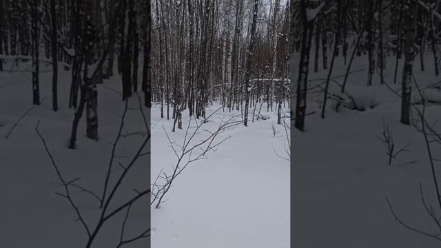 ОХОТА-6))) смотреть онлайн