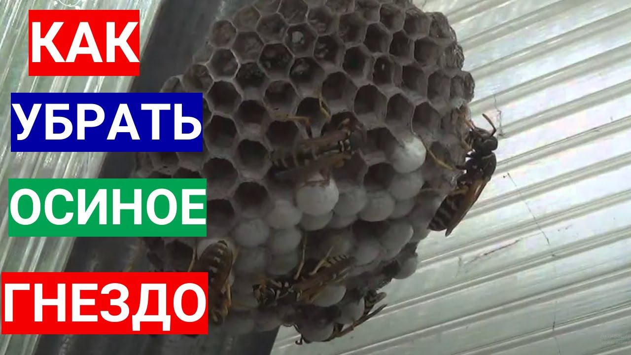 Садовый Мир