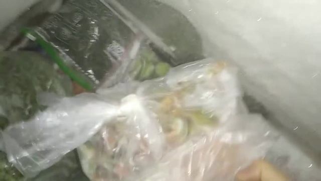 Обзор моей морозильной камеры.