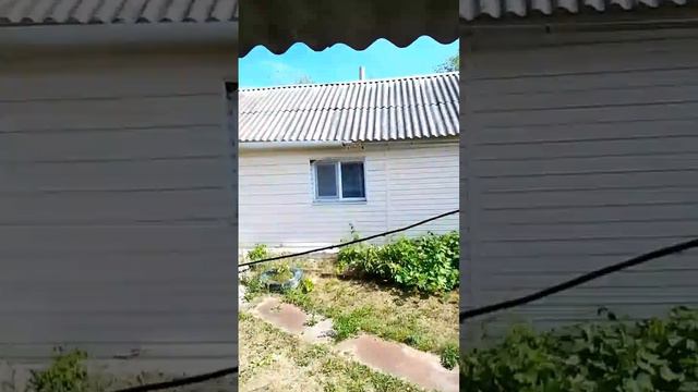11405674 смотреть онлайн