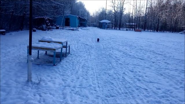 Комбинезон от Тузика смотреть онлайн