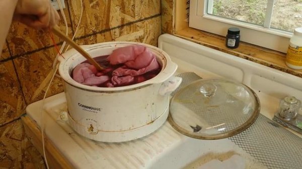 Cochineal: Unlocking the Secret of Dyeing with Bugs on Wool/ Silk & Cotton