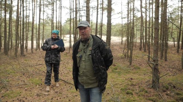 Уход за лесами на Куршской косе смотреть онлайн