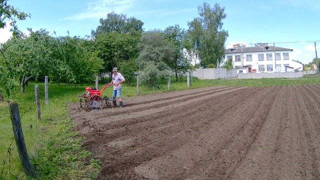 Мотоблок Форте. Прополка огорода ежиками. смотреть онлайн