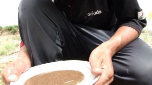 Признаки платины и золота в речном песке