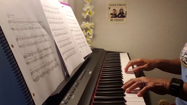 Sekai No Yakusoku (Promise of the World) from Howl's Moving Castle (piano cover) смотреть онлайн