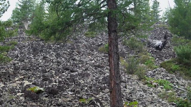 Забайкальский край. УАЗ Без Дорог. Подъем на Кумыльский перевал. смотреть онлайн