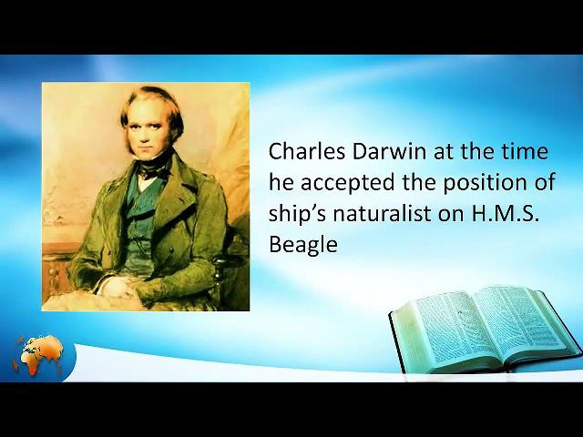 От творения до восстановления Вальтер Вайс смотреть онлайн