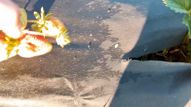 Строительные Консультации