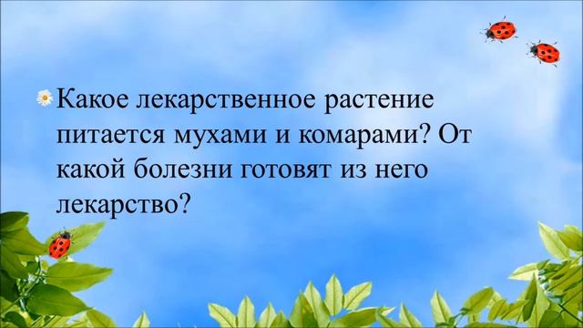 Викторина "Волшебные растения" смотреть онлайн
