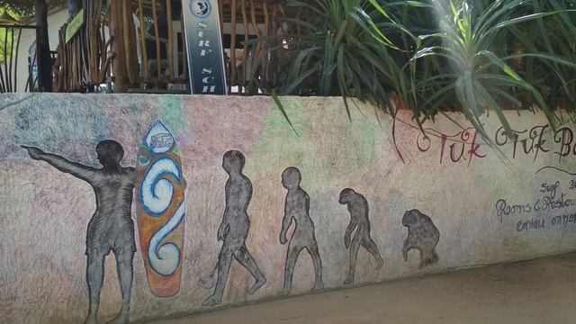 Шри Ланка - райский остров для ленивого отдыха :) смотреть онлайн