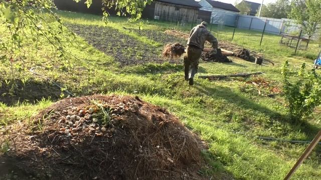 Сделал тёплые грядки, установил бочку для полива, посадил огурцы и кабачки. Домик в Мещёре, серия 6 смотреть онлайн