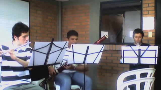 Concierto en Sol menor para Flauta, Oboe y Fagot смотреть онлайн