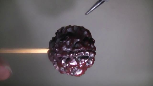 Eka one mukhi round Rudraksha... смотреть онлайн