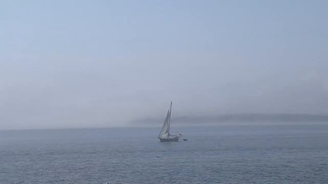 Простые правила похудения. О питании, эмоциях и разумности тела