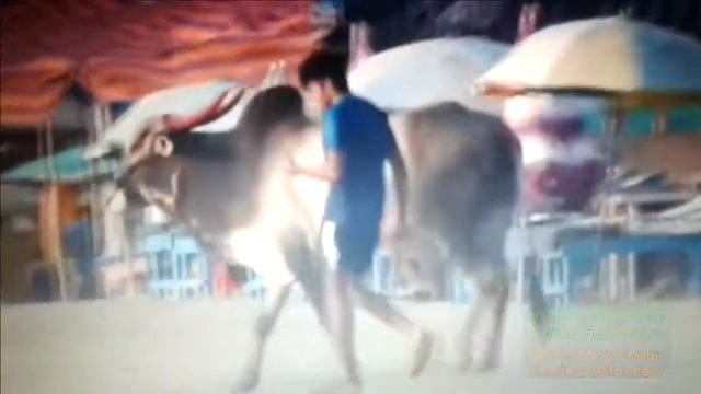 изменчивая погода птичка индийский океан клин иствуд смотреть онлайн