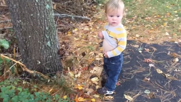 Pee pee check on a tree!