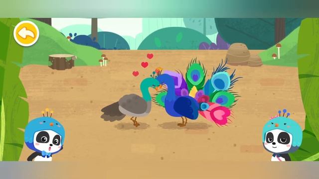 Знакомство со множеством разнообразных животных в игре Маленькая панда: Семья животных #1 смотреть онлайн