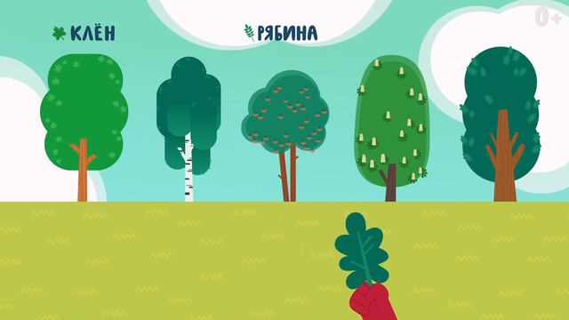 С какого дерева листик? 🌿 | Серии-обучалки | ВОЛШЕБНЫЙ САДИК смотреть онлайн