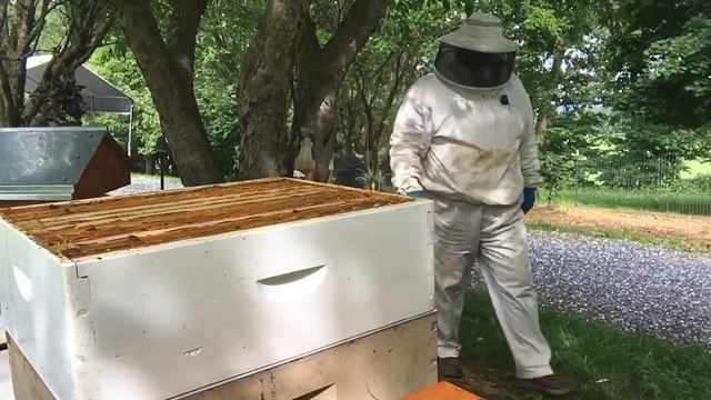 Средство борьбы с клещами . смотреть онлайн