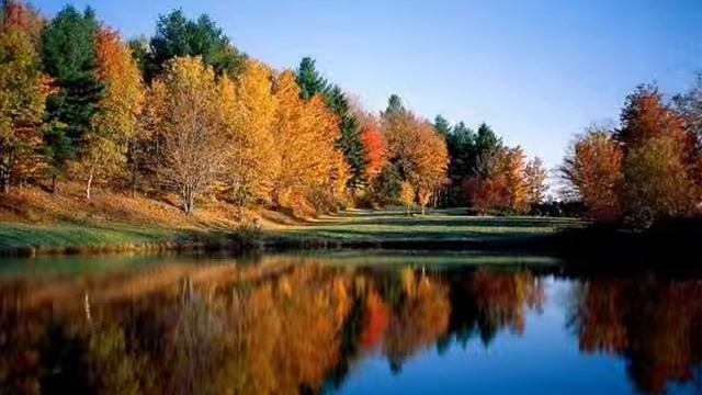 В городе тихая осень... смотреть онлайн