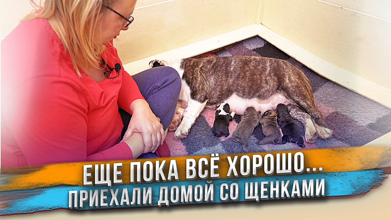 За несколько часов до беды... смотреть онлайн