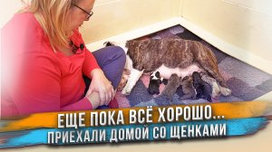За несколько часов до беды...