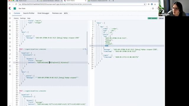 Elastic Observability Engineer Training Preview- Structuring Data смотреть онлайн