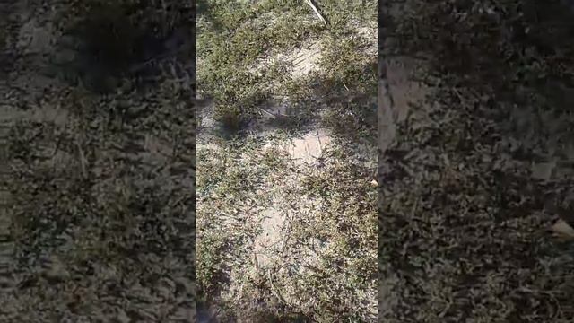 Играем в нёрф смотреть онлайн