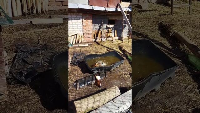 Утка думает что она собака и живёт в конуре. смотреть онлайн