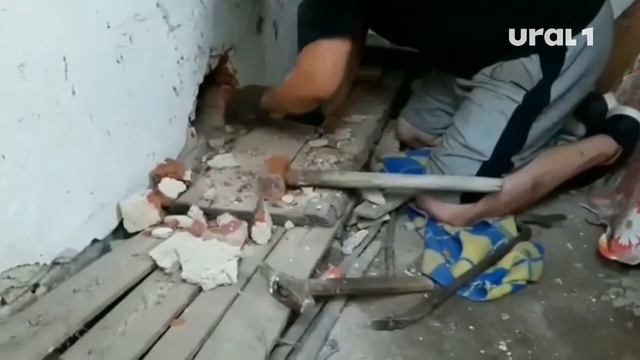 Челябинская зоослужба спасла из западни щенка смотреть онлайн