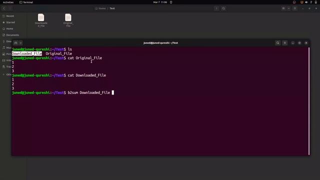 How to Verify Data Integrity of Source & Transferred File Using BLAKE2B | b2sum Command in Linux смотреть онлайн
