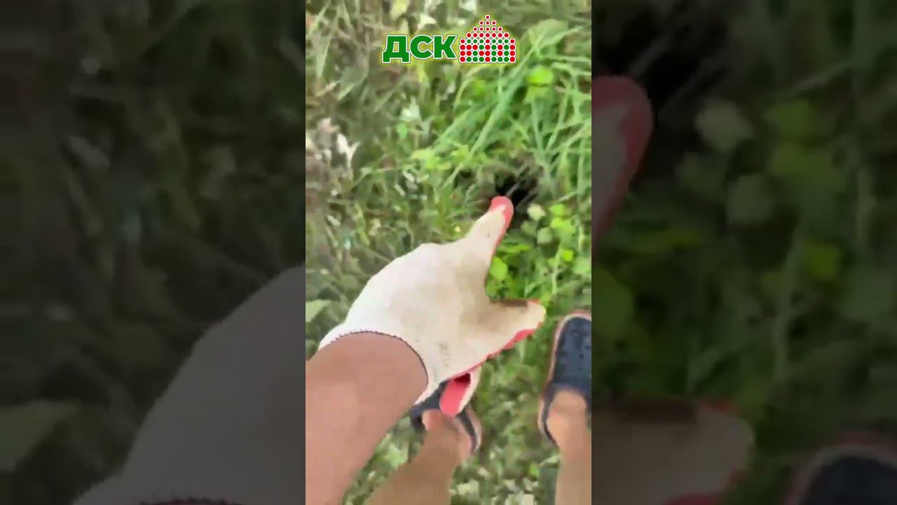 Пробное бурение, перед расчётом стоимости фундамента. #фундамент смотреть онлайн