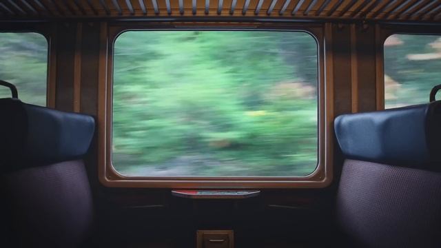 Train Ride Ambience: ambient white noise for sleeping, focus, studying, reading смотреть онлайн