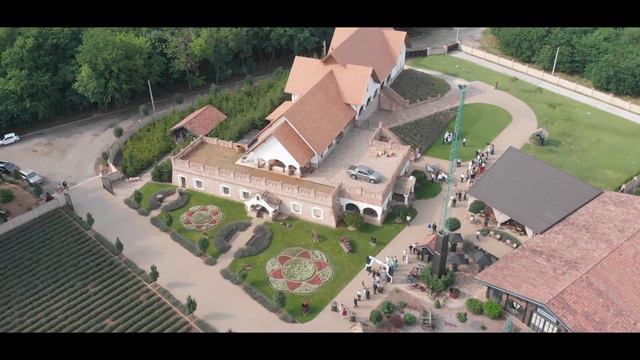 Bettina és Ákos Nagy Napja - Szent István Bazilika смотреть онлайн