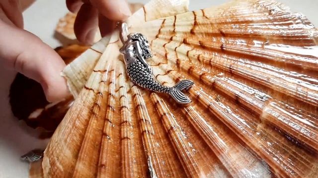 Флешмоб "Ракушки гребешка в украшениях". Ролик 354. 26 марта 2022. смотреть онлайн