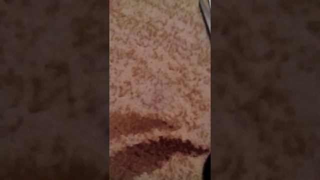 Чем я кормлю свою кису смотреть онлайн