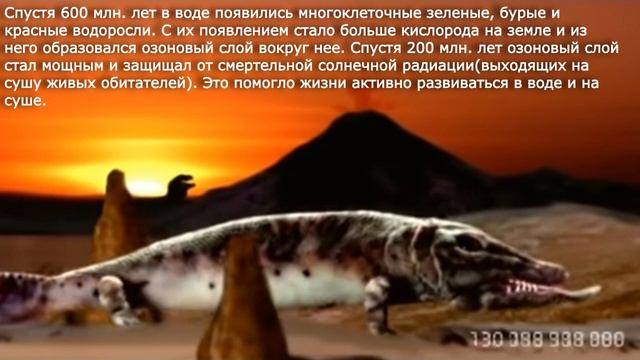 27. Историческое развитие растительного мира. Биология 6 класс - Пономарева. смотреть онлайн