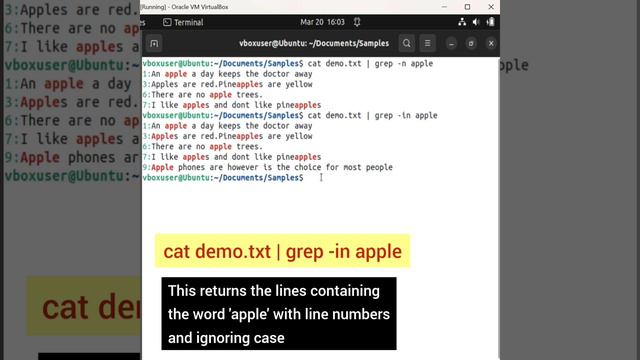 Linux Tutorial:12- Search for words in a file using grep command #shristitechacademy #linuxbasics смотреть онлайн