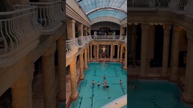 Эстетика Геллерт ?Рассказала о ней подробней в прошлом shorts, смотри ? #shorts смотреть онлайн