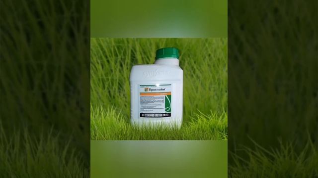 ИНСЕКТИЦИДЫ которые работают 100% смотреть онлайн