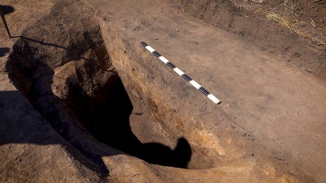 О текущих раскопках, находках и планах на будущее смотреть онлайн