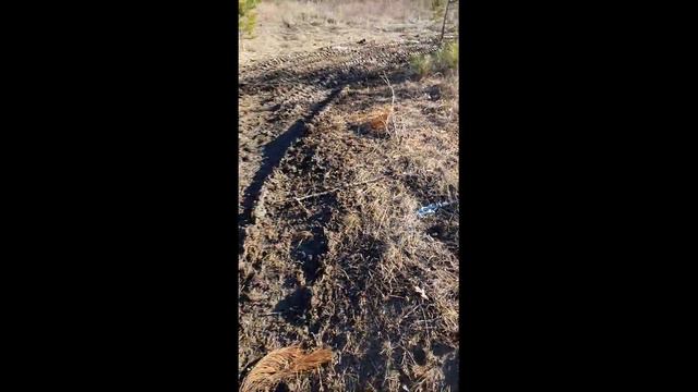 Где то около партизанского водохранилища смотреть онлайн