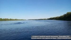 Вятбот 430 М   Mercury F25ELPT EFI