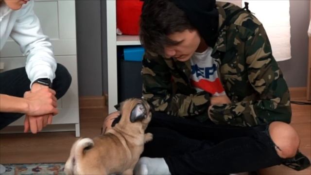 ПРОИГРАЛ СОБАКУ И 100.000 РУБЛЕЙ! смотреть онлайн