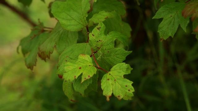 Аффирмации для решения любых проблем. смотреть онлайн