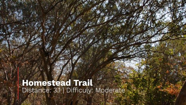 Mckinney Falls State Park | Texas State Parks смотреть онлайн